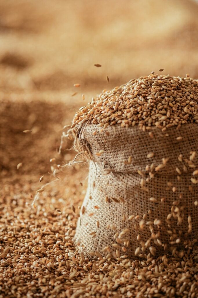 Commodity Trading • Freight Forwarding | Inkani Trading