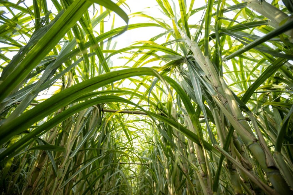 Commodity Trading • Freight Forwarding | Inkani Trading